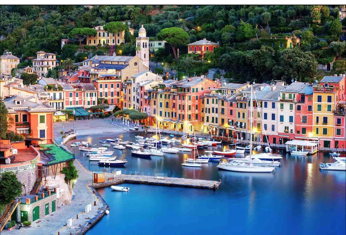 A scenic waterfront scene captures colorful buildings lining a tranquil harbor. Various boats are moored in the calm water, while lush greenery rises in the background. The gentle slope of the hillside is dotted with trees and quaint architecture, creating a serene coastal atmosphere.