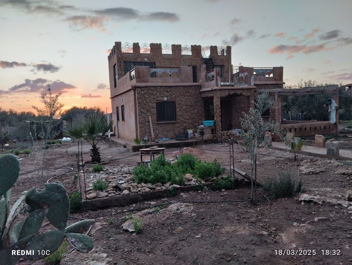 A two-story stone house is set against a colorful sunset, offering a rustic charm. Surrounding vegetation includes several palm trees and shrubs, complementing the natural landscape. The yard features a mix of planted areas and pathways, providing a sense of outdoor space.