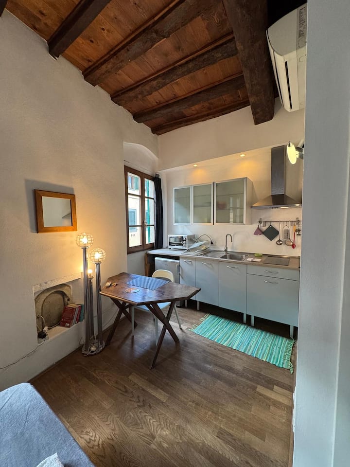 Studio In Santo Spirito/borgo San Frediano