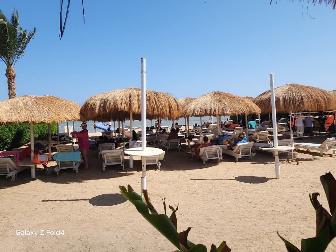 A sandy beach area features several thatched umbrellas providing shade over lounge chairs. Guests are seated comfortably, enjoying the outdoor setting. Lush greenery is visible in the background, adding to the relaxed ambiance. The clear blue sky reflects a pleasant day by the water.