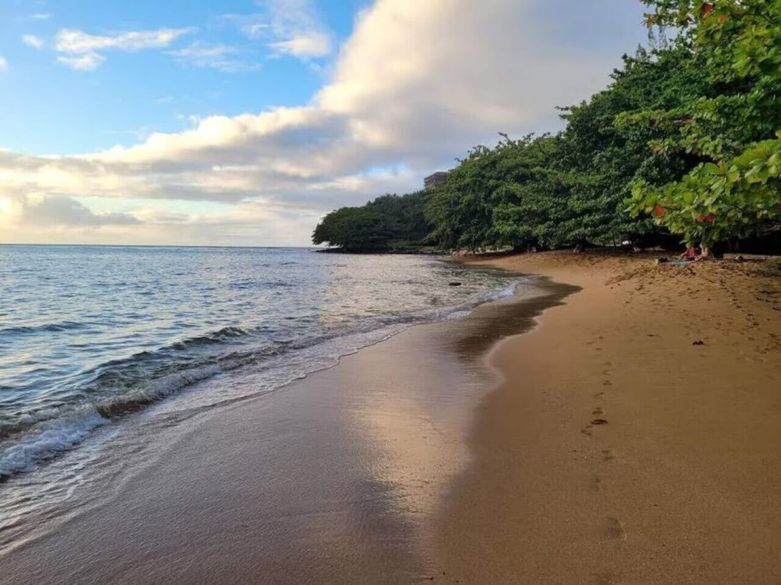 Tropical Paradise  #7 at HBR, beach access & AC - Image 15