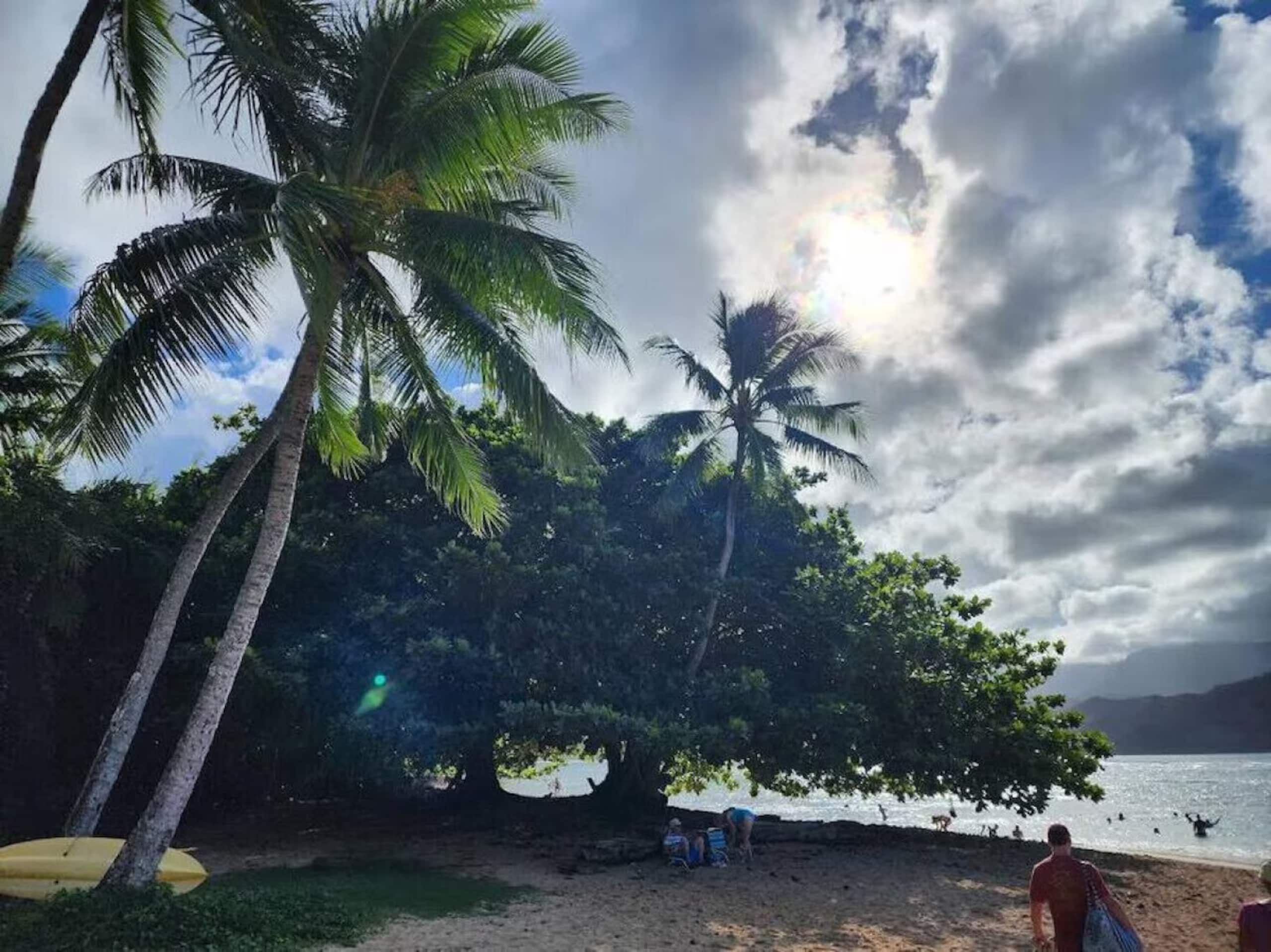 Tropical Paradise  #7 at HBR, beach access & AC - Image 18