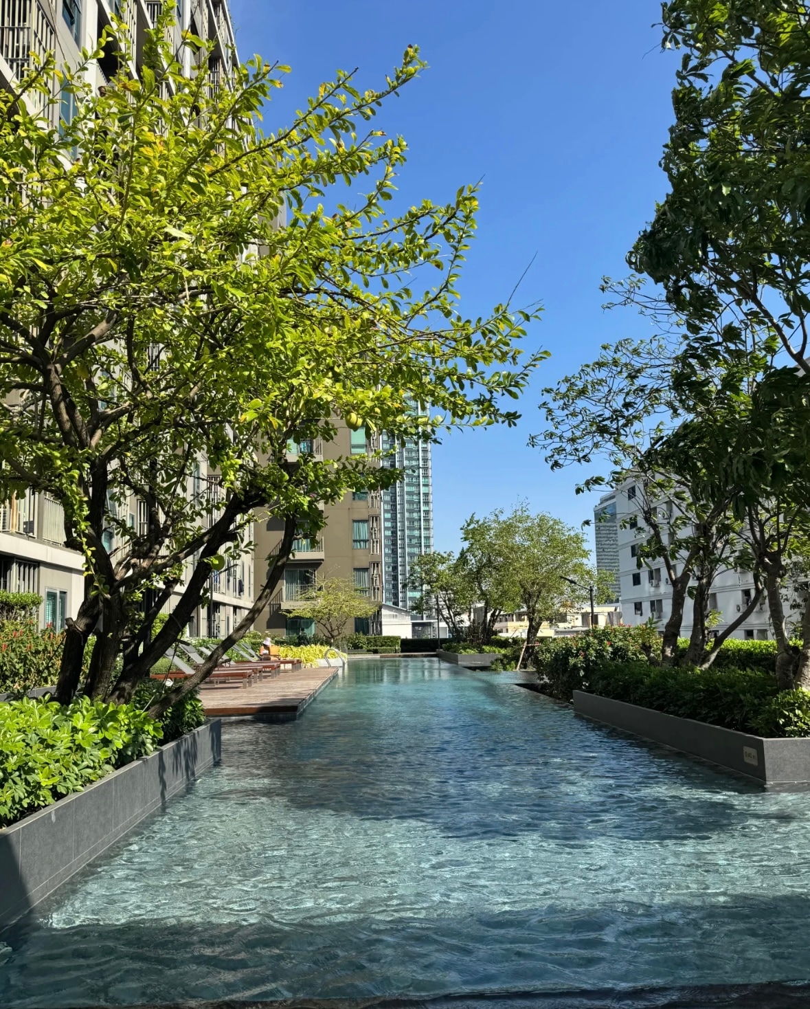 A serene outdoor space features a shallow, reflecting pool surrounded by lush greenery and young trees. The clear water reflects the bright blue sky above, while modern buildings are visible in the background, creating a peaceful ambiance.