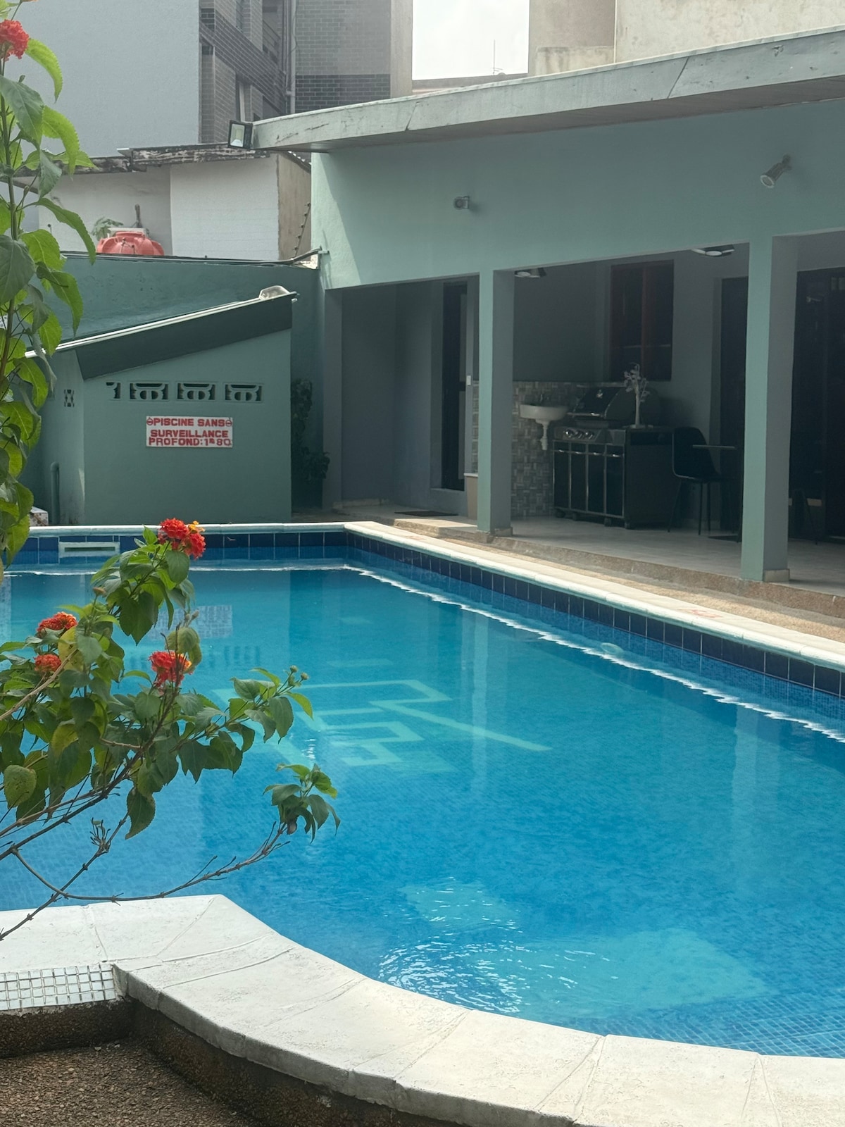 A well-maintained swimming pool reflects clear blue water under ambient lighting. Surrounding the pool, a garden area features a flowering bush, adding a touch of greenery. The adjacent outdoor space includes a barbecue area, promoting a relaxing outdoor experience.