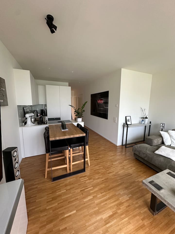 2,5 Zi. Wohnung Im Stadtzentrum - Basel