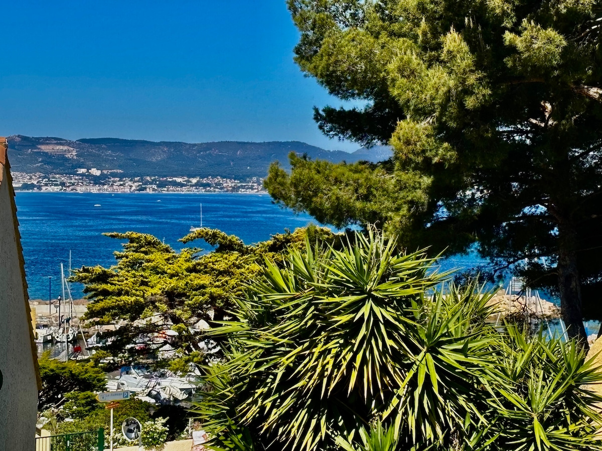 A serene coastal view is presented, featuring lush green foliage in the foreground. The calming blue waters of the sea stretch to the horizon, with gentle hills and distant coastal structures visible in the background under a clear sky.