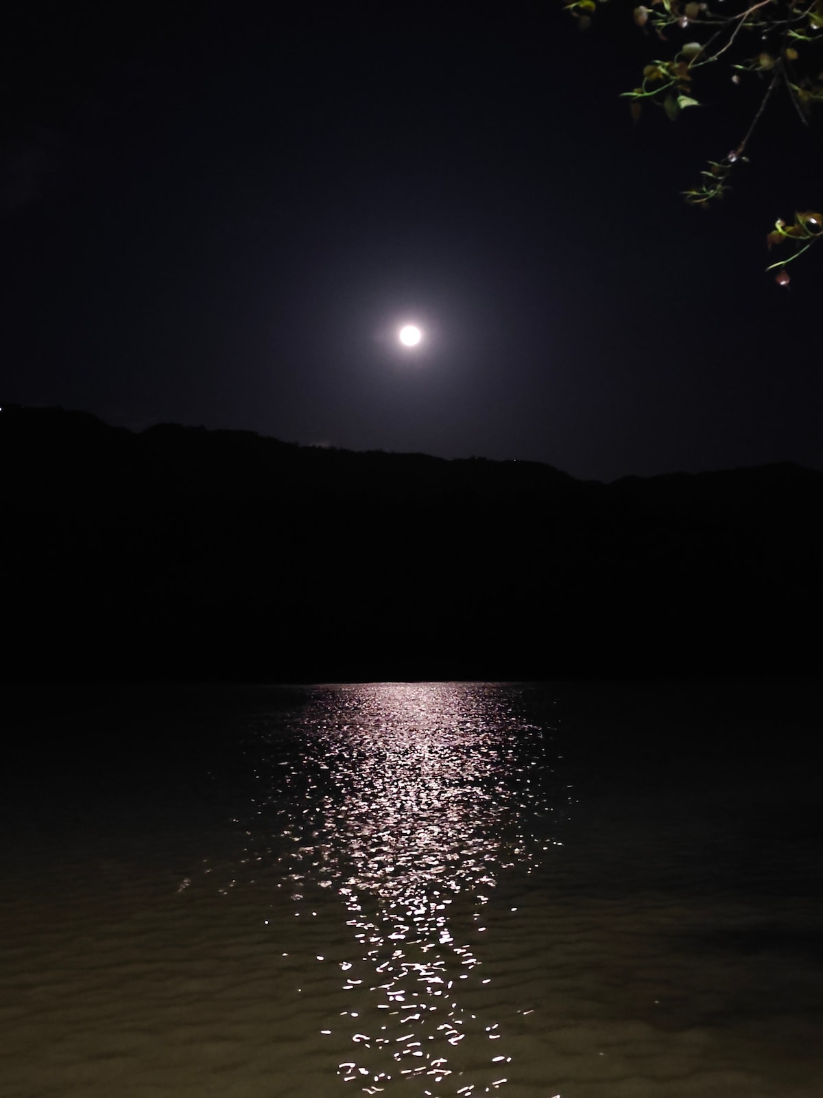 A serene night scene is depicted, with a full moon illuminating the dark sky and casting a shimmering reflection on the water's surface. Silhouetted hills frame the background, enhancing the tranquil atmosphere of the riverside setting.