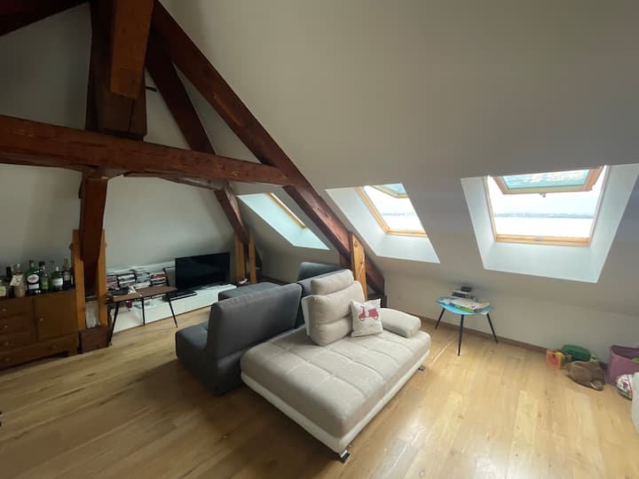 Charming Flat With Lake Views ! - Nyon
