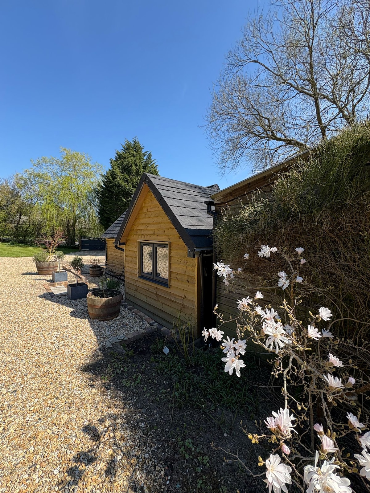 A rustic building is nestled among greenery, featuring wooden siding and a sloped roof. Sunlight brightens the scene, with a clear blue sky overhead. Flowering plants and planters enhance the outdoor space along a gravel pathway leading to the entrance.