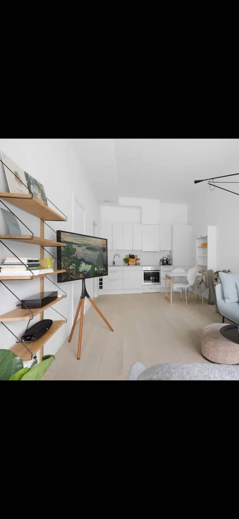 Popular Airbnb listing: Modern apartment near the city center in Søndre Tromsøya