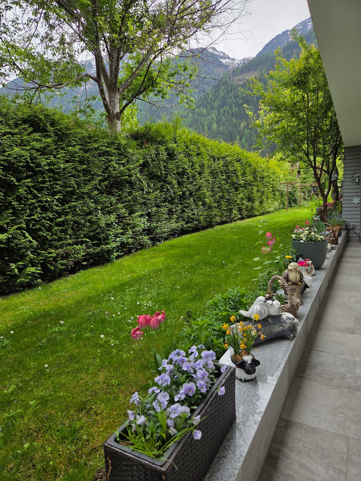 A well-maintained garden area features a lush green lawn bordered by tall hedges. Colorful flowers, including purple pansies and pink tulips, are arranged in planters along a stone edge, providing a serene outdoor space. The background showcases mountains, enhancing the tranquil setting.