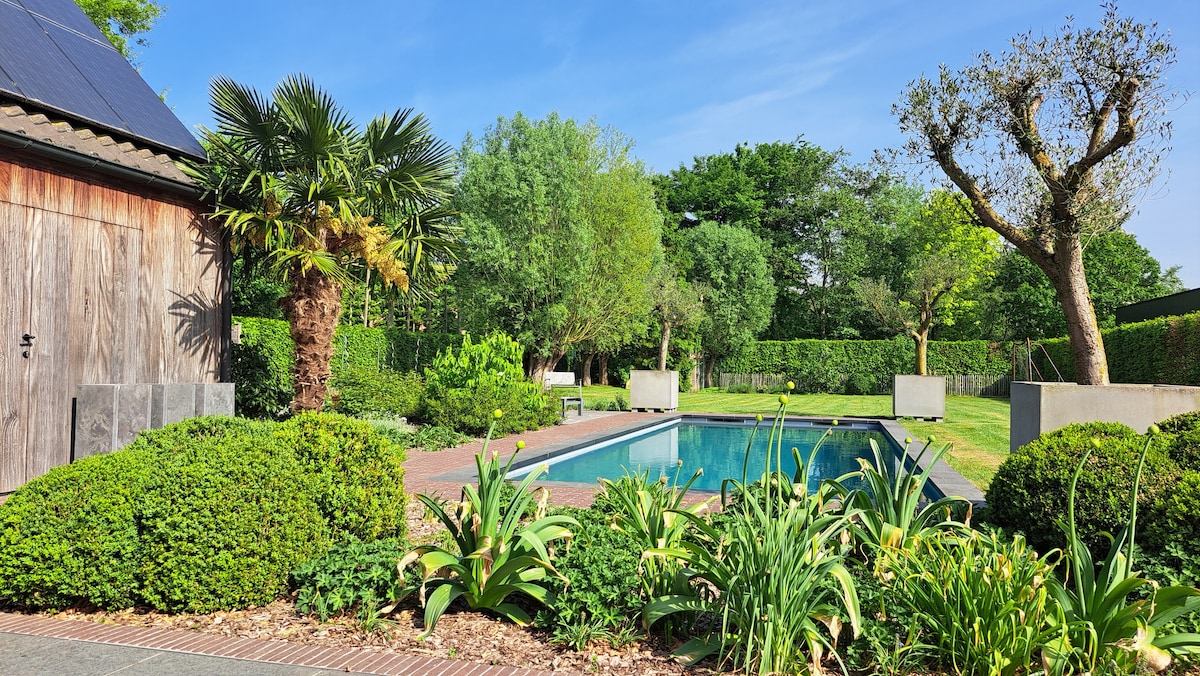 An outdoor area features a private swimming pool surrounded by well-maintained greenery, including bushes and tall palms. A spacious lawn is visible, with sun-drenched trees providing shade. The setting offers a peaceful atmosphere, suitable for relaxation or leisure activities.