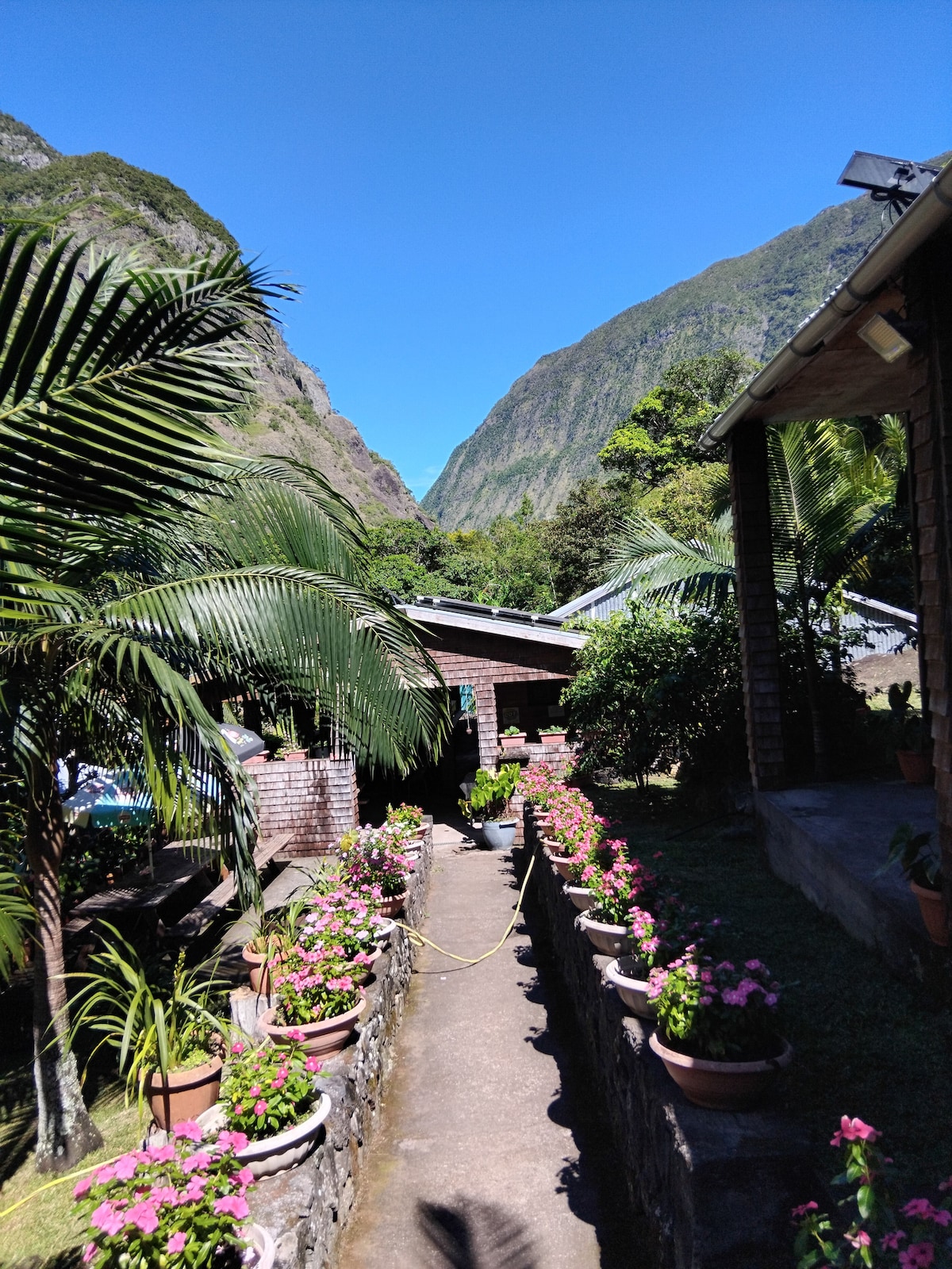 A narrow pathway lined with potted flowering plants leads toward a rustic building surrounded by lush greenery. Towering mountains frame the scene under a clear blue sky, evoking a sense of tranquility and natural beauty.