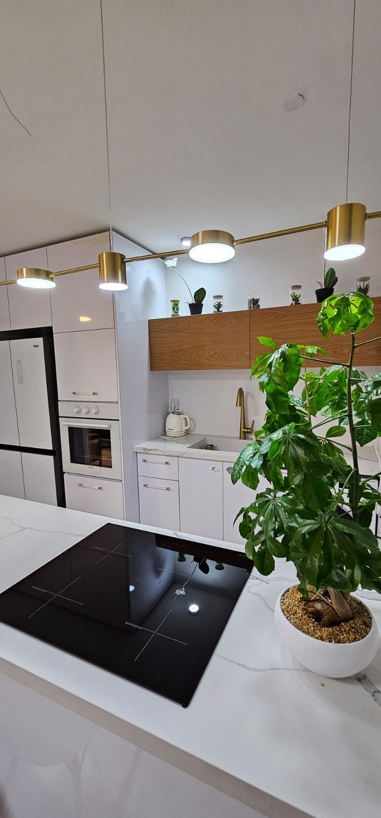 A modern kitchen is displayed, featuring sleek white cabinets and a wooden shelf adorned with plants. A black induction cooktop occupies the central island, while pendant lights illuminate the space. Stainless steel appliances, including a refrigerator and oven, complement the clean design.