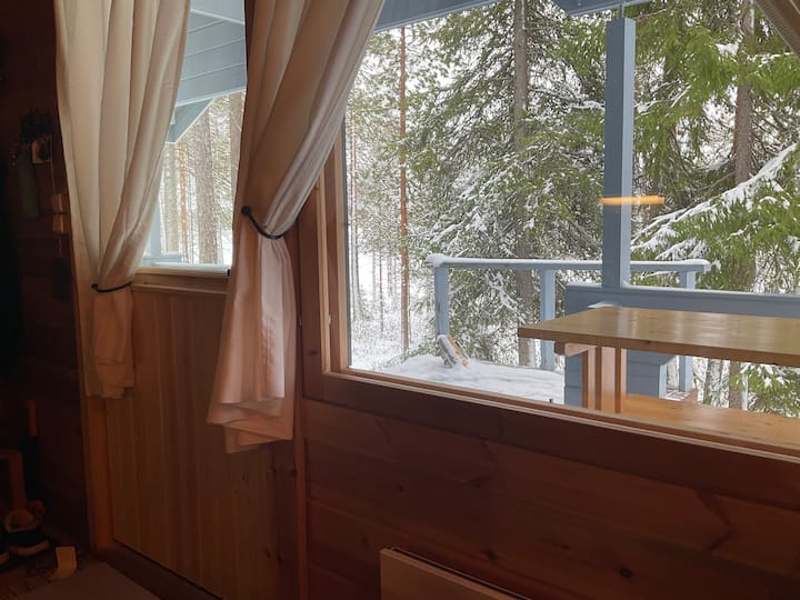 Chalet Cosy Bord De Lac - Finlandia