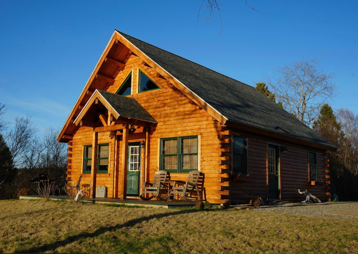 A cabin constructed with logs features a steeply pitched roof and large front windows that allow natural light to enter. A welcoming porch displays several wooden chairs, while the surrounding lawn is dotted with low vegetation and a clear blue sky overhead.