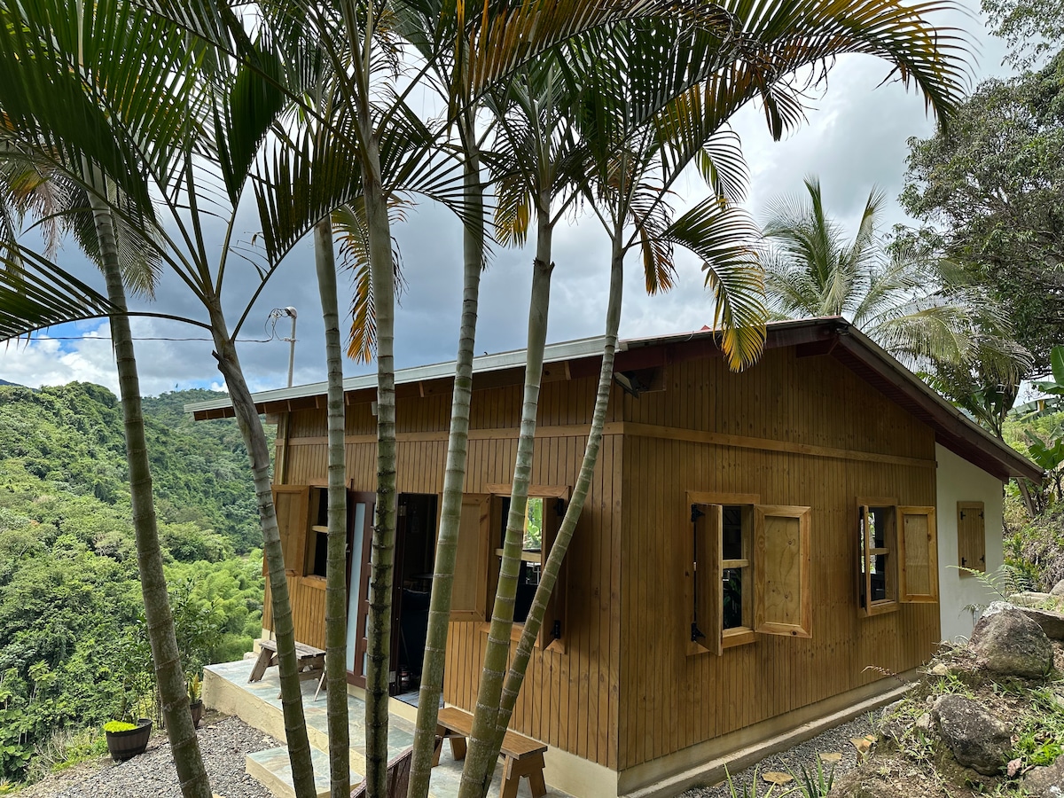 A wooden cabin with a sloped roof is surrounded by lush greenery and palm trees. Multiple windows feature wooden shutters, allowing natural light into the open space. A small set of steps leads to the entrance, with the scenic hillside visible in the background.