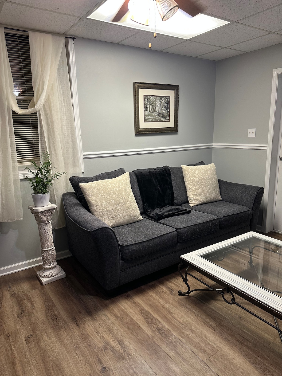 A gray sofa is positioned against a light gray wall, adorned with two decorative pillows. A dark throw blanket is placed on the seating area. A glass coffee table stands in front, and a small potted plant is situated on a pedestal beside the sofa.