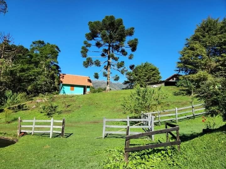 A charming landscape is depicted, featuring a bright blue house nestled among lush greenery. Tall trees rise against a clear blue sky, and wooden fences outline the grassy area, creating a calm rural setting. The scene conveys a sense of tranquility and connection with nature.