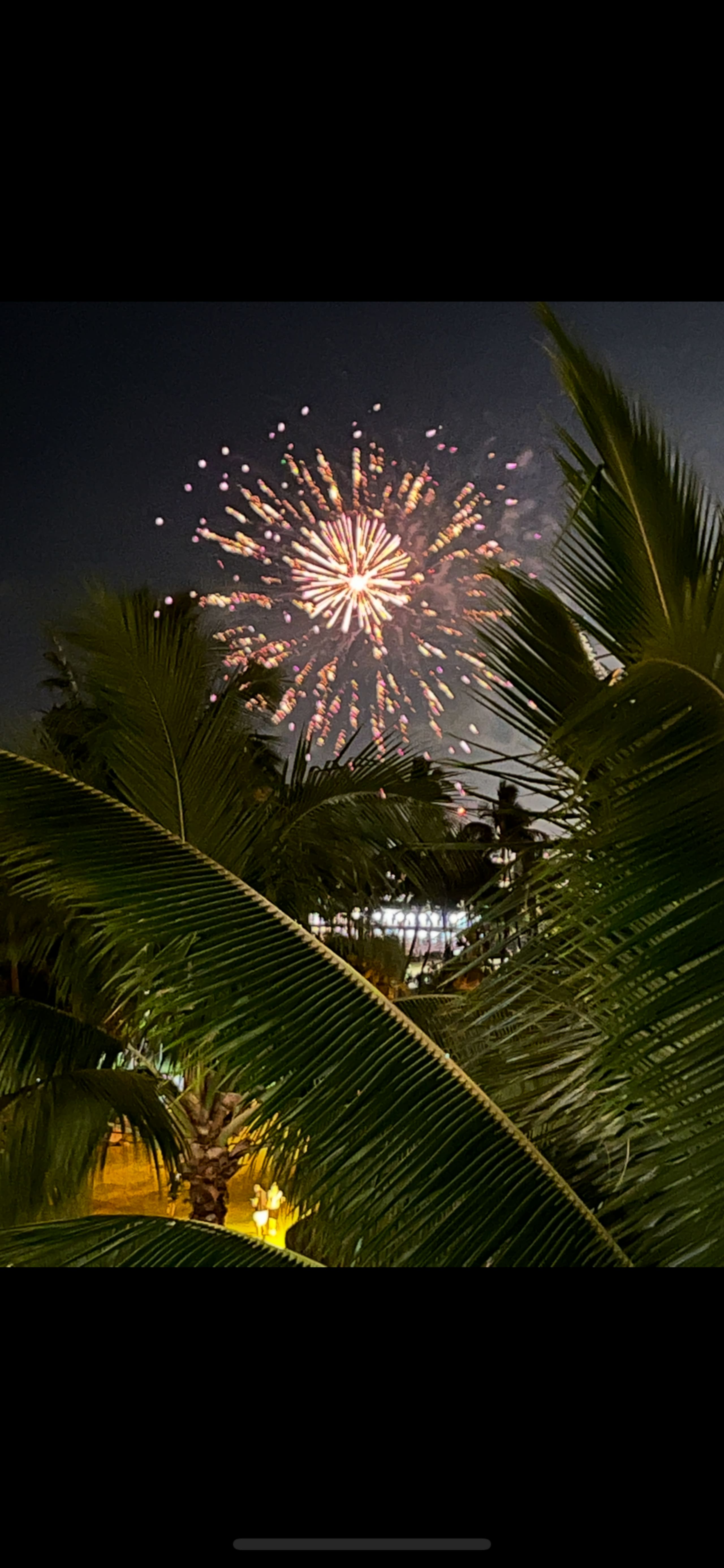 Oceanview-Luxurious Condo, free parking. - Image 72