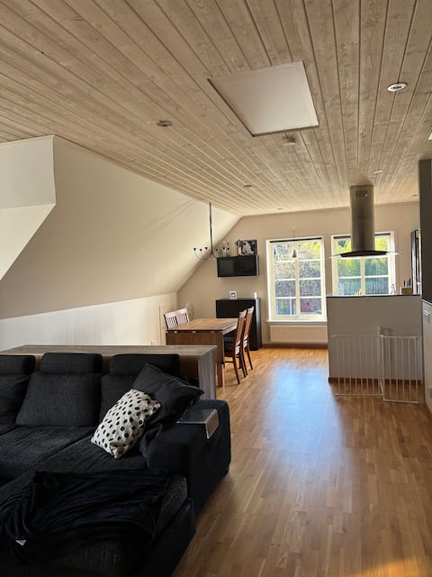 Successful Airbnb property: Landbogård in Ljungby