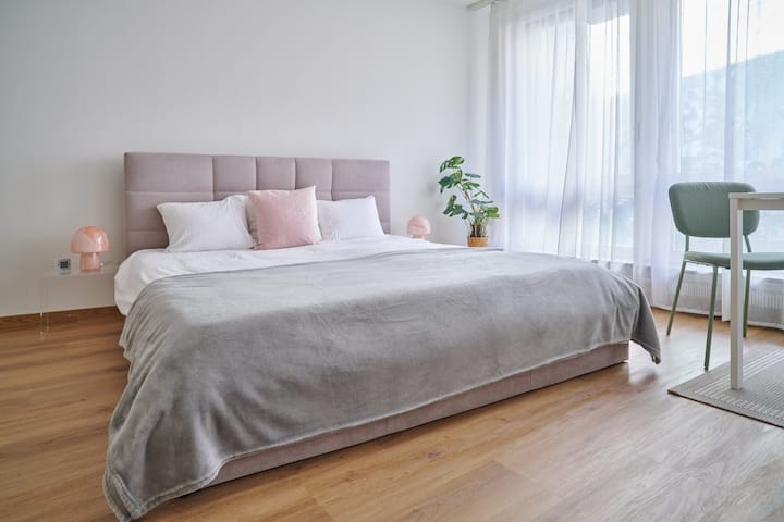 Central And Cozy Studio - Basilea