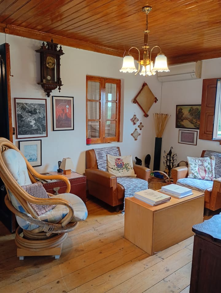 Área de convivencia