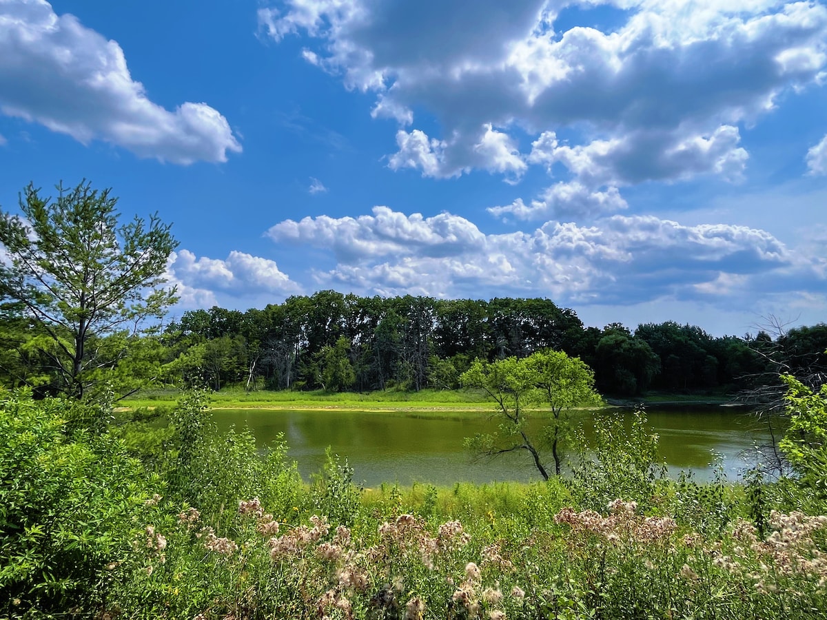 A serene pond is surrounded by lush green vegetation and trees, under a partly cloudy sky. The reflection of the clouds can be seen on the water's surface, enhancing the tranquil setting. Edges of pink and white wildflowers frame the foreground, contributing to the natural beauty.