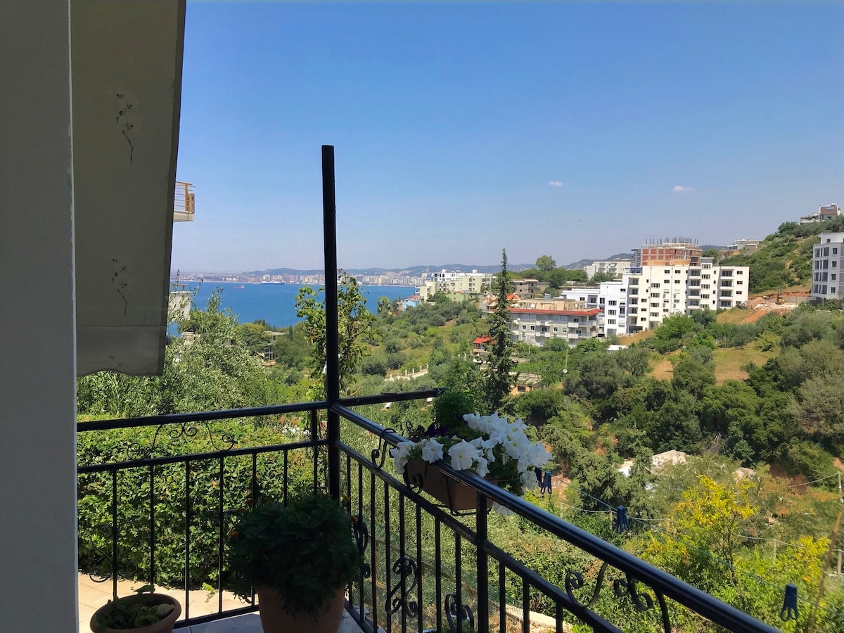 Listing 1415237553541238833