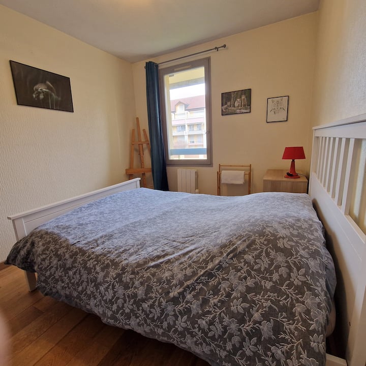 Chambre Proche Frontière Suisse - Saint-Julien-en-Genevois