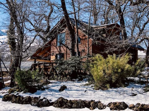 Cabin for friends or family