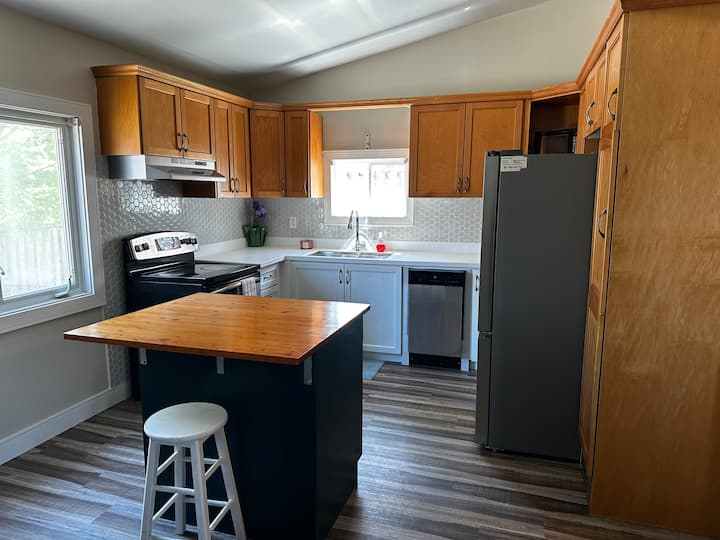 Renovated 2 Bdrm Apartment In Central Hamilton - Hamilton