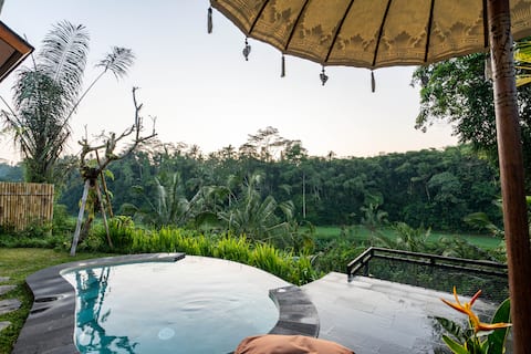 New! Valley view 1br private pool &hammock