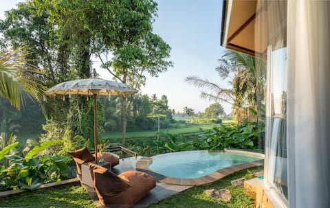 New! private pool with hammock