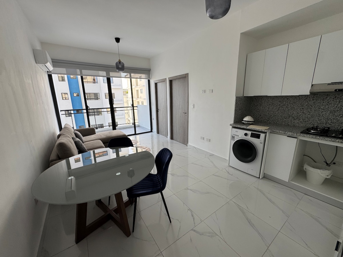 Apartments For Rent In Santo Domingo