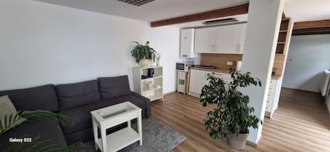 Charming + newly renovated house near the airport