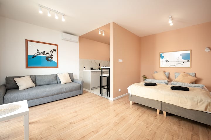 sala de estar, dormitorio con zona compartida, cocina americana