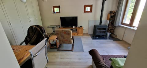Top Airbnb: A cottage with a pool in the forest silence in Wawer
