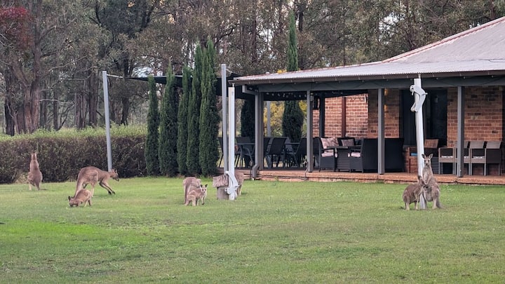 Blaxlands Kangaroo Homestead Walk To Everything! - Pokolbin