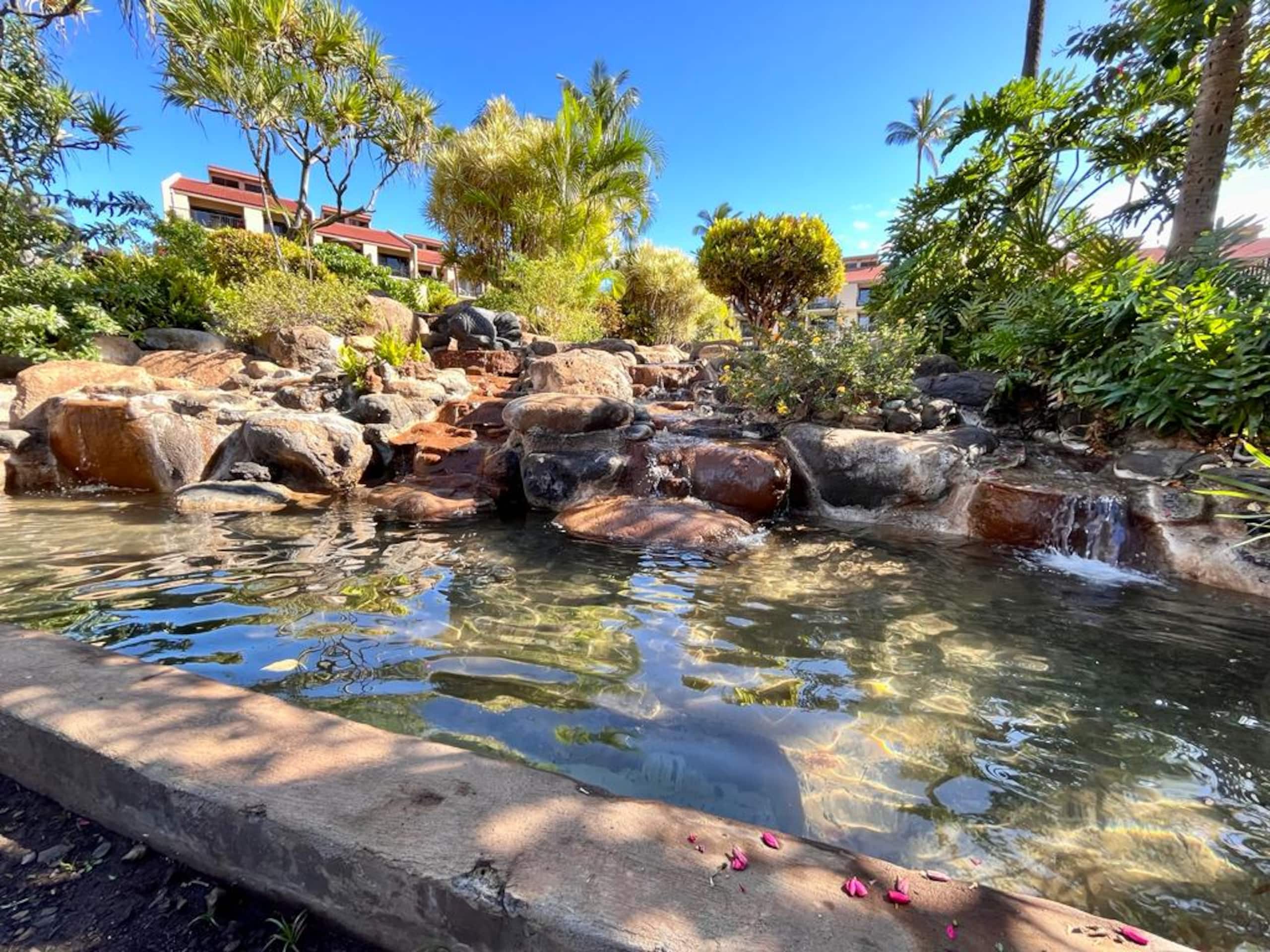 Condo in Kihei · ★5.0 · 1 bedroom · 2 beds · 2 baths - Image 47