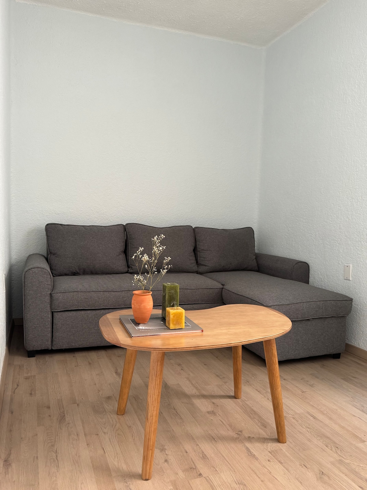 Popular Airbnb listing: Cozy home in the Heart of Mexico City in Anzures