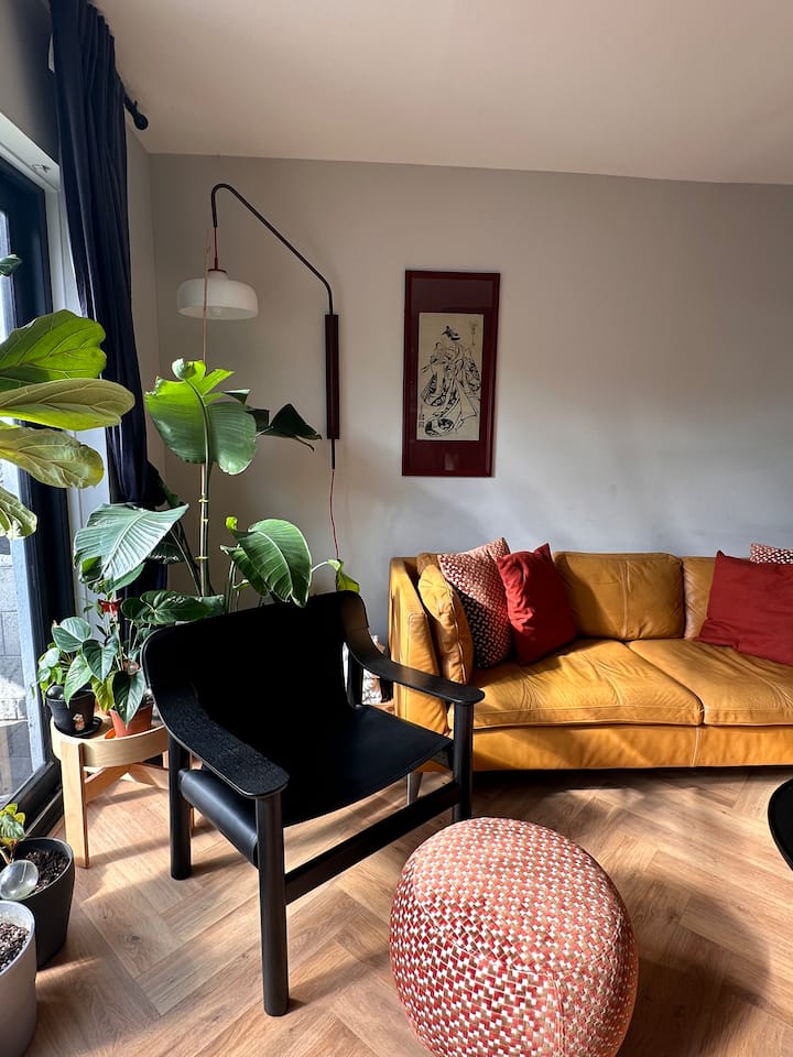 Designer Home W/ Dedicated Study, 2 Baths, Garden - Dublin