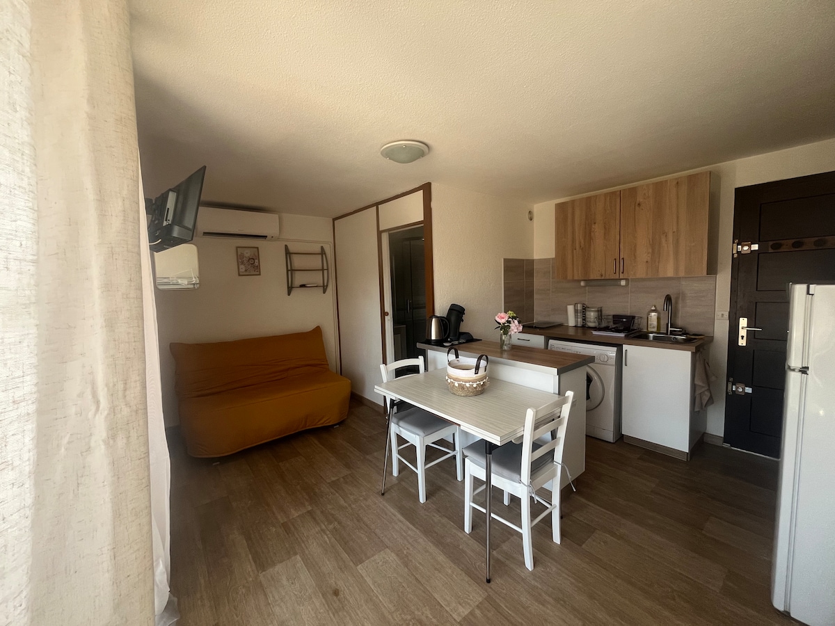 Popular Airbnb listing: Charming air-conditioned studio 150 m from the beach in Saint Cyprien