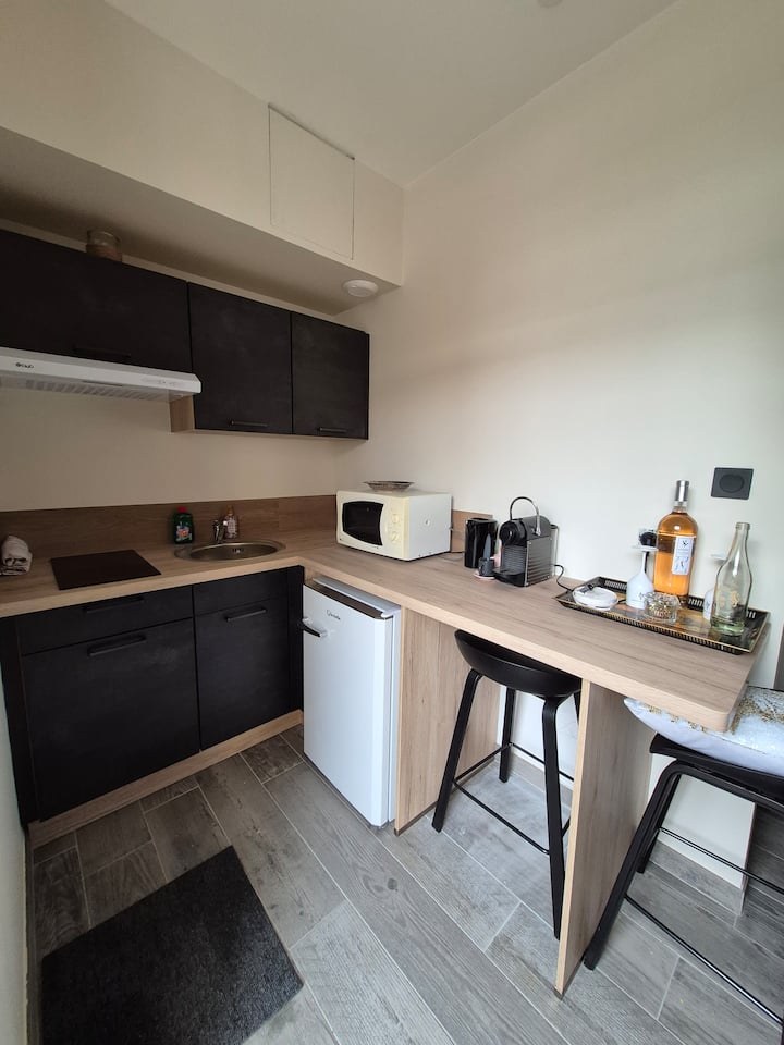 Studio Climatisé Avec Wifi Et Smart Tv - Villefranche-sur-Saône