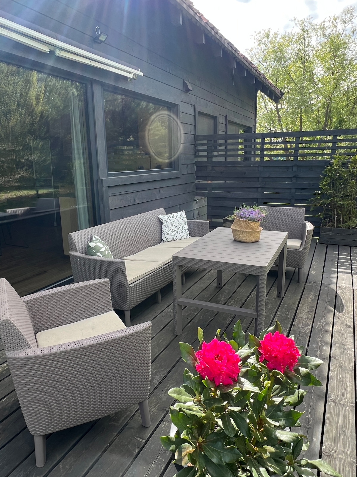 A comfortable outdoor seating area is displayed, featuring a table and four chairs with light-colored cushions. A planter with blooming flowers is positioned on the table, while vibrant pink flowers frame the scene. The area is surrounded by greenery, providing a peaceful atmosphere.