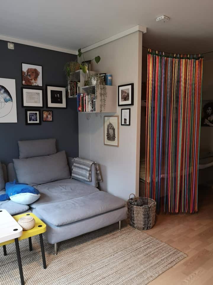 Cozy Studio Apartment, Close To The City Center - Bergen
