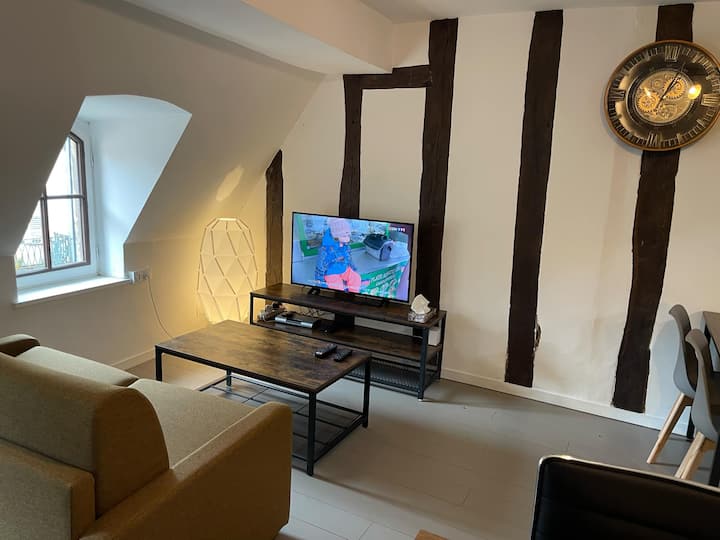 Au Centre De Semur En Auxois - Semur-en-Auxois