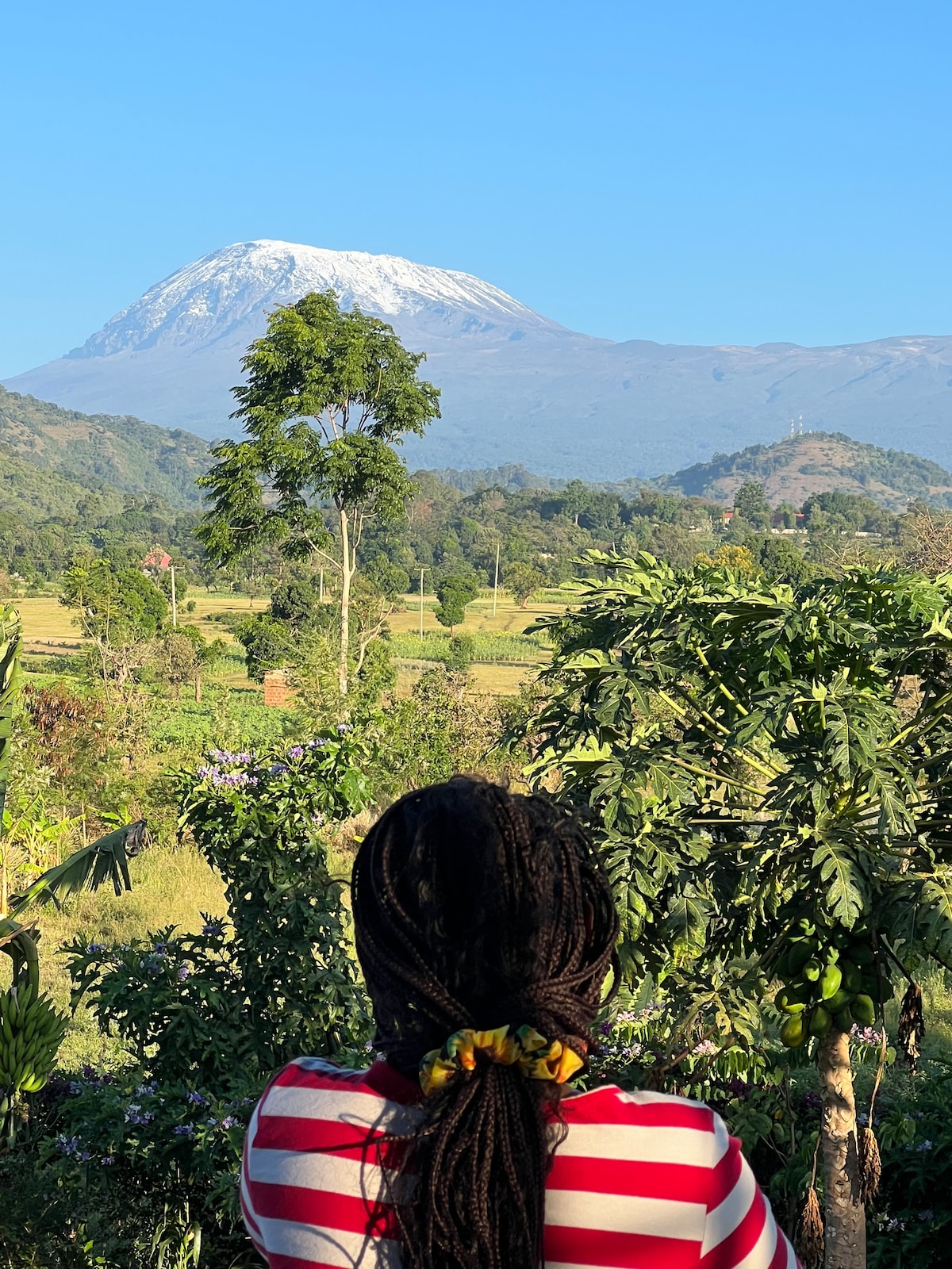 A person is seen from behind, wearing a striped shirt, gazing towards the distant snowy peak of Mt. Kilimanjaro. Lush green fields and trees form a vibrant foreground, framing the striking mountain view under a clear blue sky.
