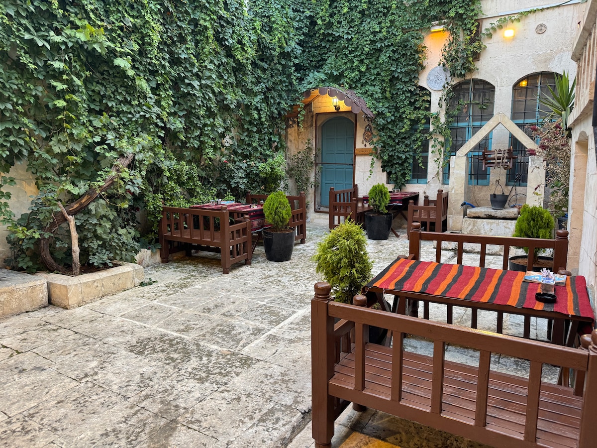 An outdoor courtyard is surrounded by lush green ivy, providing a natural backdrop. Several wooden benches with cushions are arranged, accompanied by potted plants. Stone paths create an inviting atmosphere for relaxation and gathering.