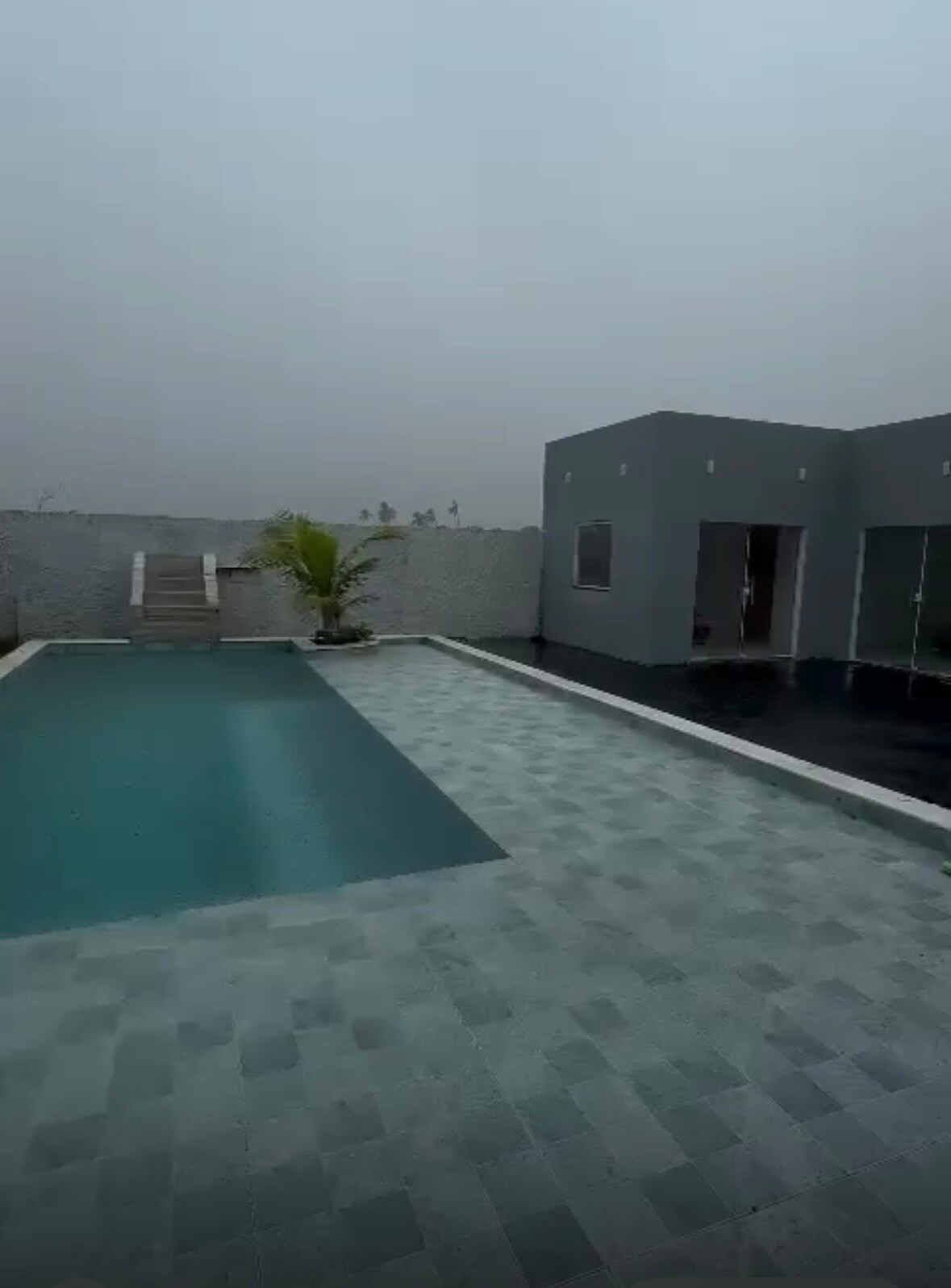 An expansive outdoor space features a modern swimming pool, accompanied by a patterned stone deck. A palm plant offers a touch of greenery. The surrounding area is partially enclosed by a gray wall, with the house visible in the background.